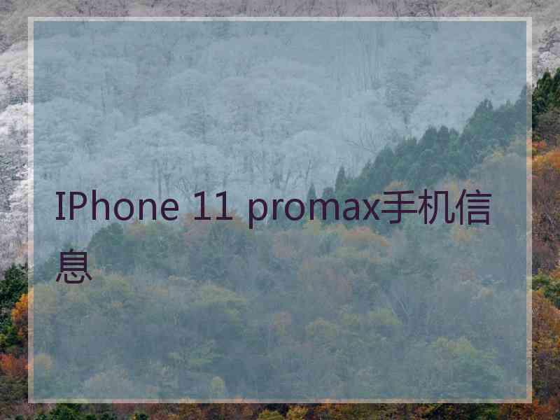 IPhone 11 promax手机信息