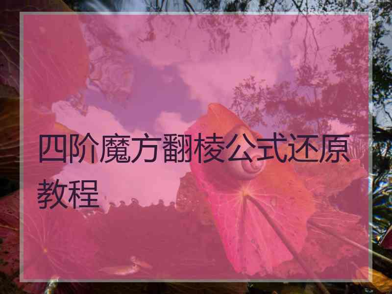 四阶魔方翻棱公式还原教程