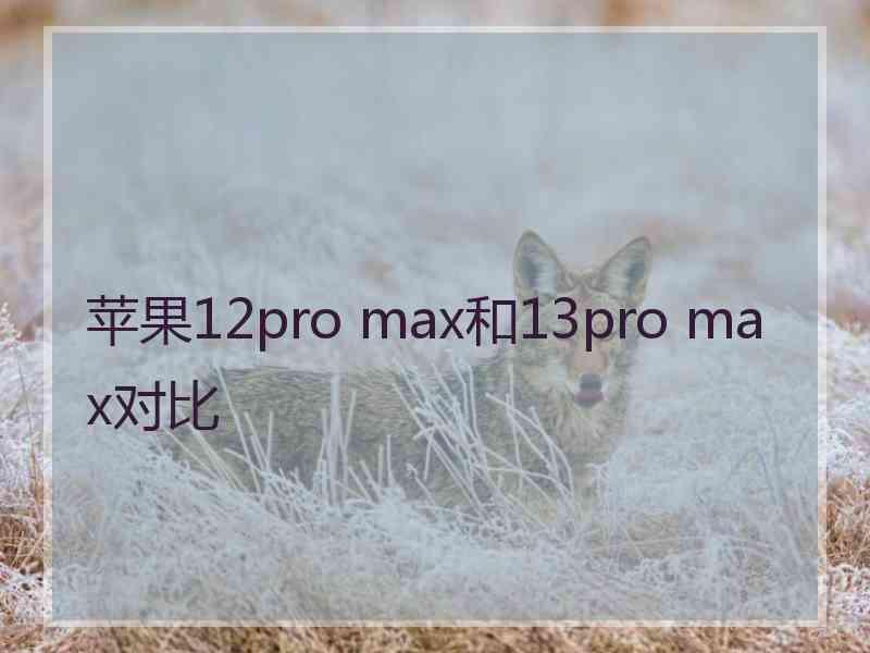 苹果12pro max和13pro max对比