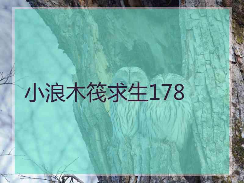 小浪木筏求生178