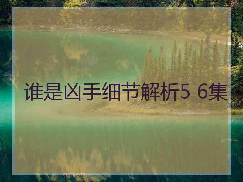 谁是凶手细节解析5 6集