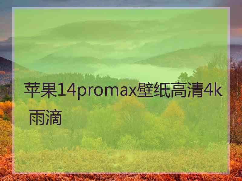 苹果14promax壁纸高清4k 雨滴