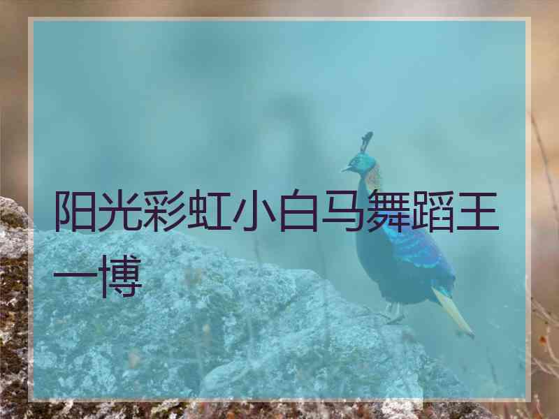 阳光彩虹小白马舞蹈王一博