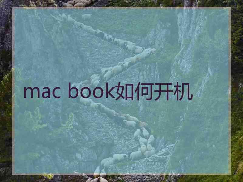 mac book如何开机