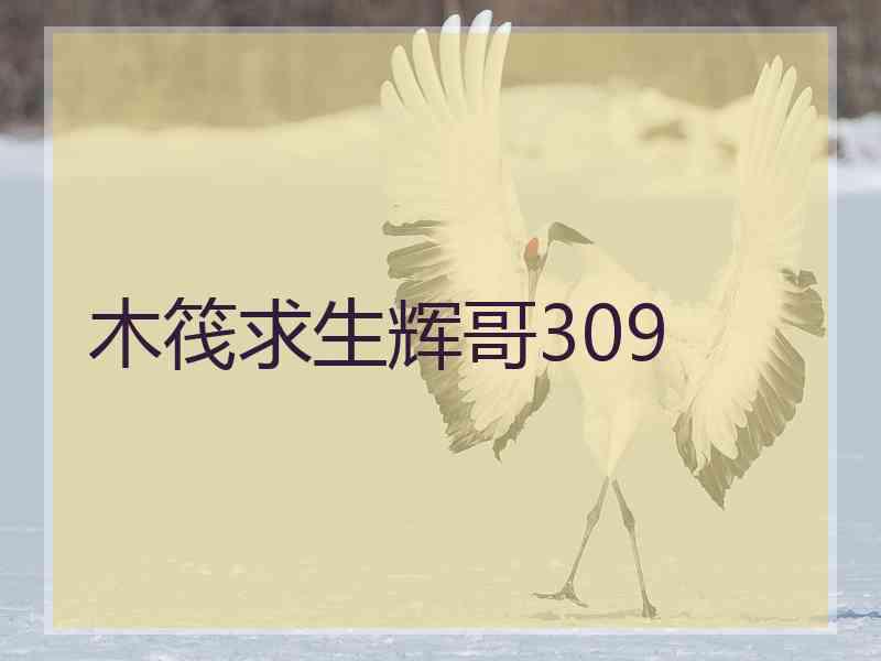 木筏求生辉哥309