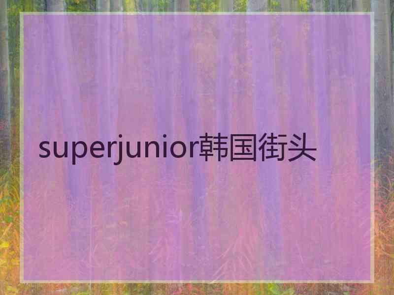 superjunior韩国街头