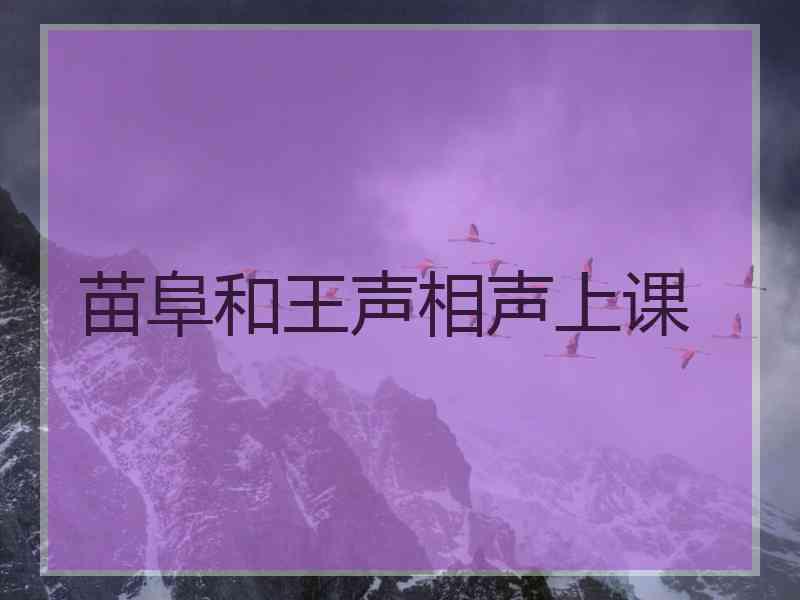 苗阜和王声相声上课