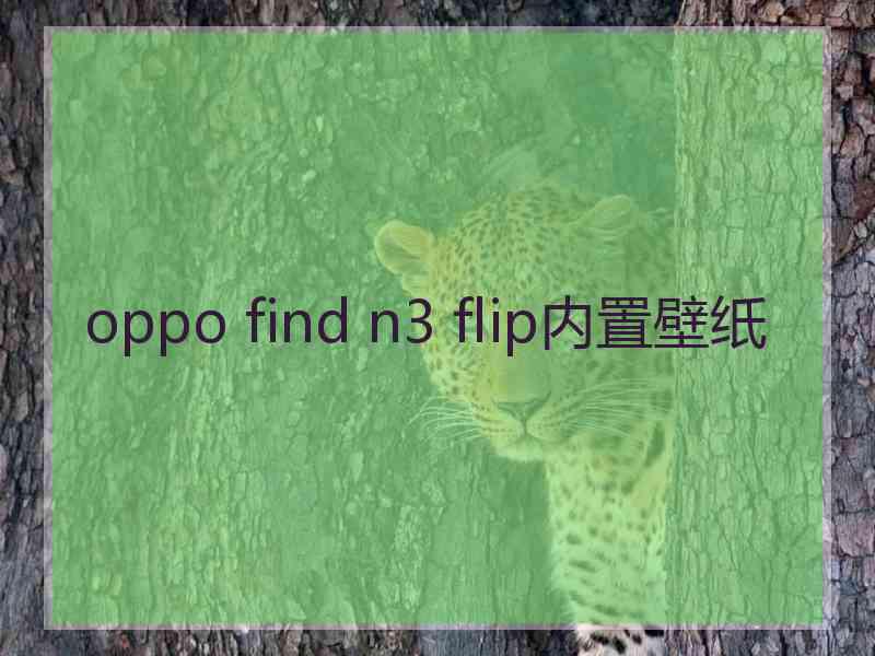 oppo find n3 flip内置壁纸