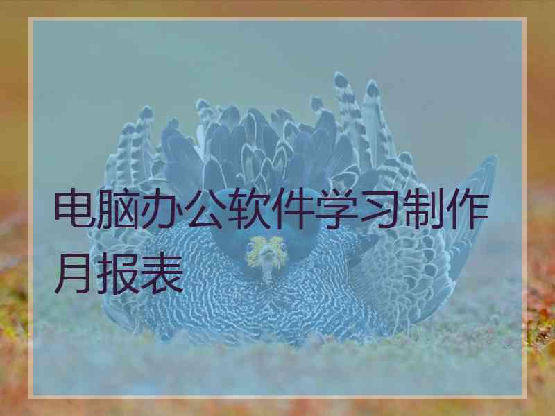 电脑办公软件学习制作月报表