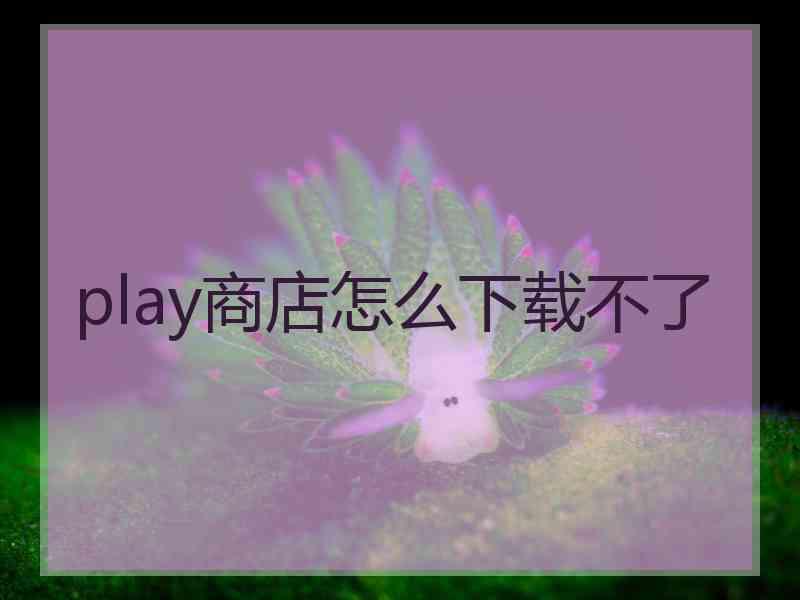 play商店怎么下载不了