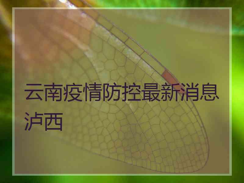 云南疫情防控最新消息泸西