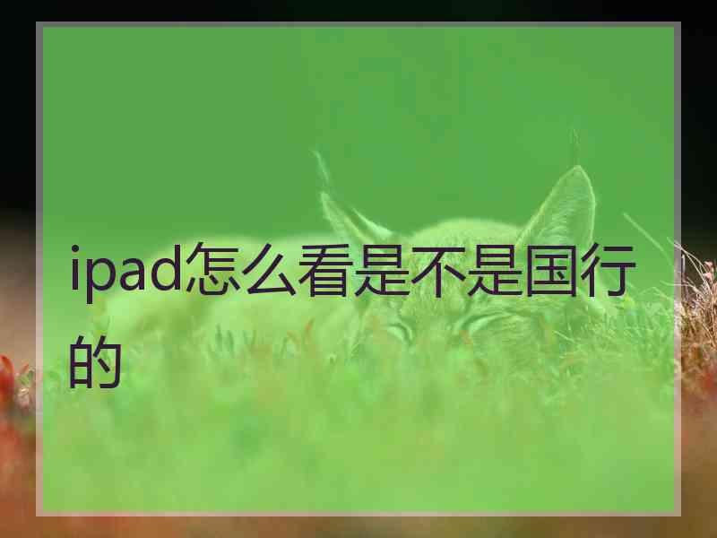 ipad怎么看是不是国行的