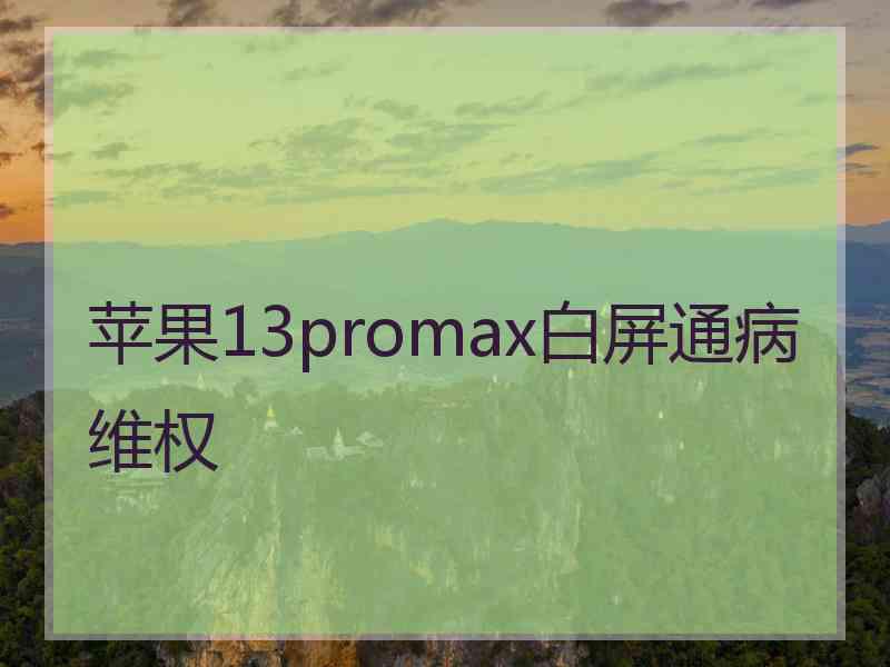 苹果13promax白屏通病维权