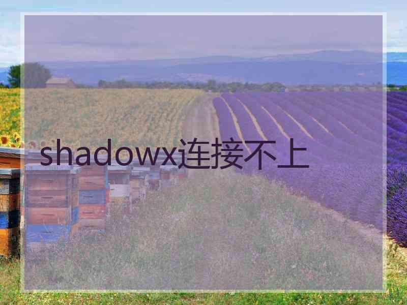 shadowx连接不上