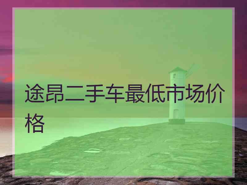 途昂二手车最低市场价格