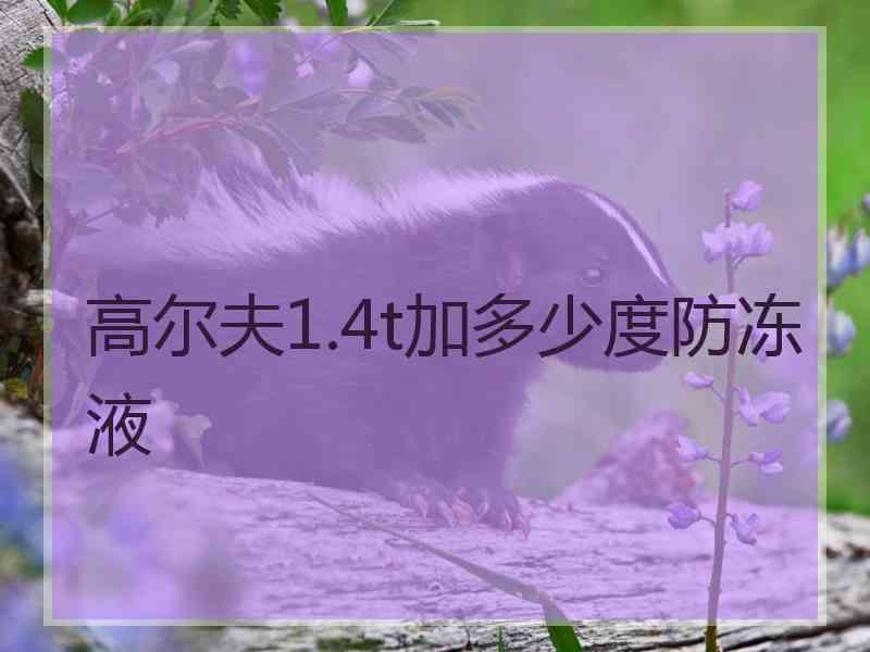 高尔夫1.4t加多少度防冻液