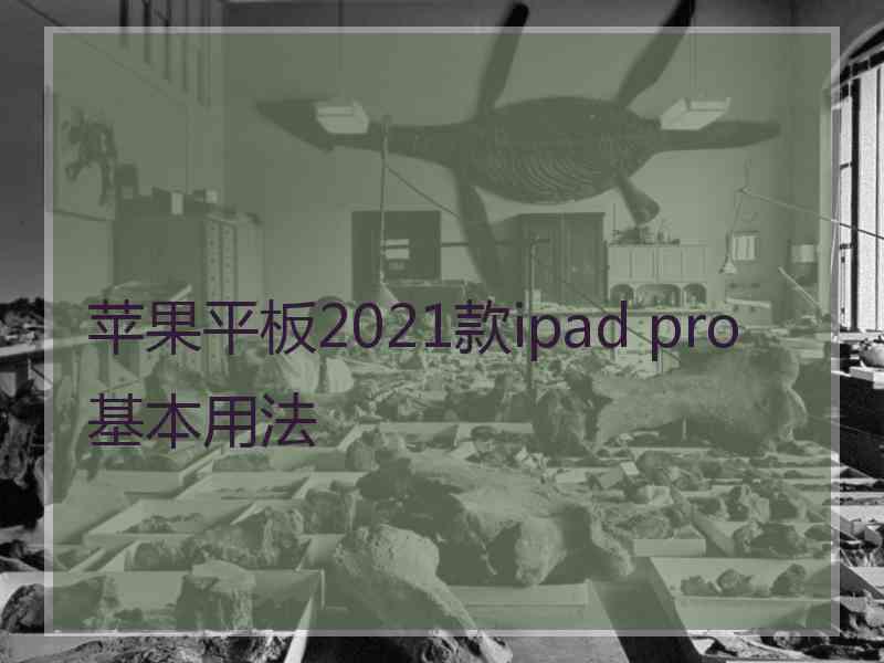 苹果平板2021款ipad pro基本用法