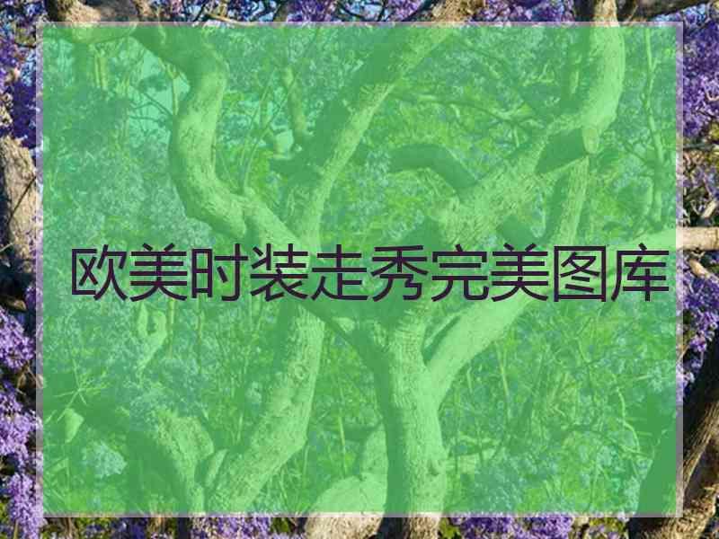 欧美时装走秀完美图库