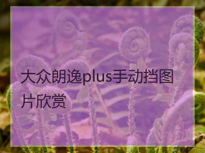 大众朗逸plus手动挡图片欣赏