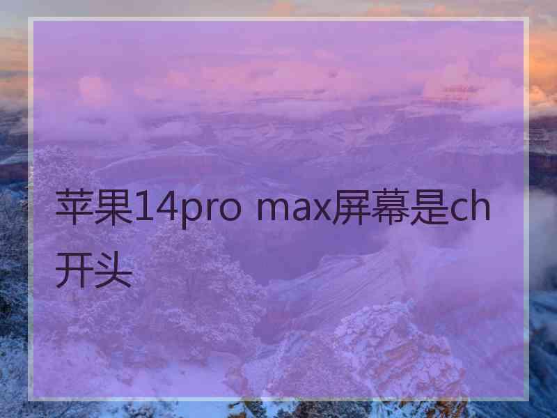 苹果14pro max屏幕是ch开头