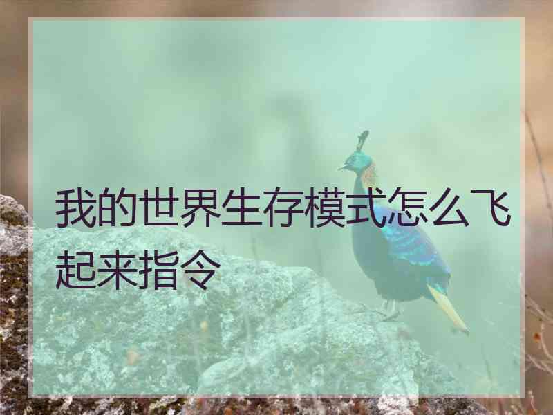 我的世界生存模式怎么飞起来指令