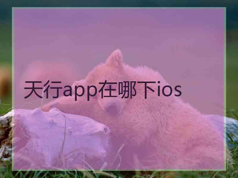 天行app在哪下ios