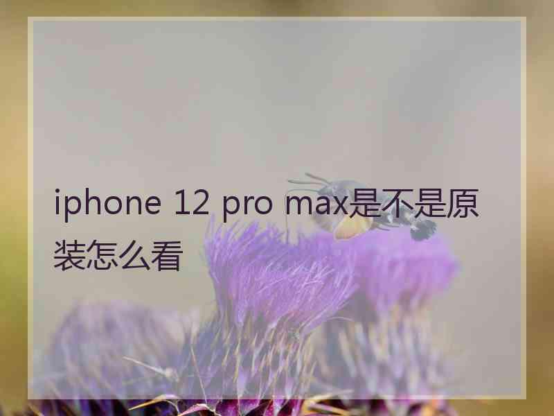 iphone 12 pro max是不是原装怎么看