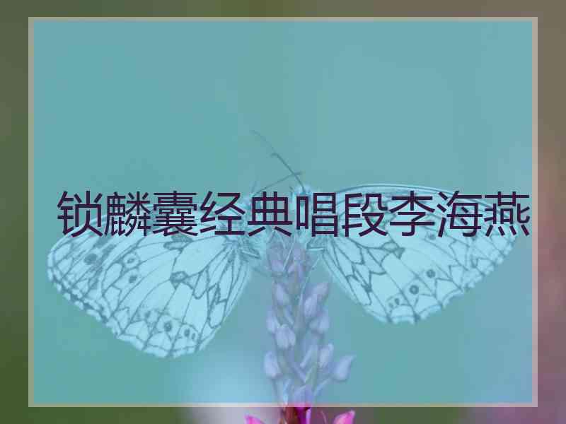 锁麟囊经典唱段李海燕