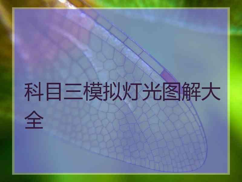 科目三模拟灯光图解大全