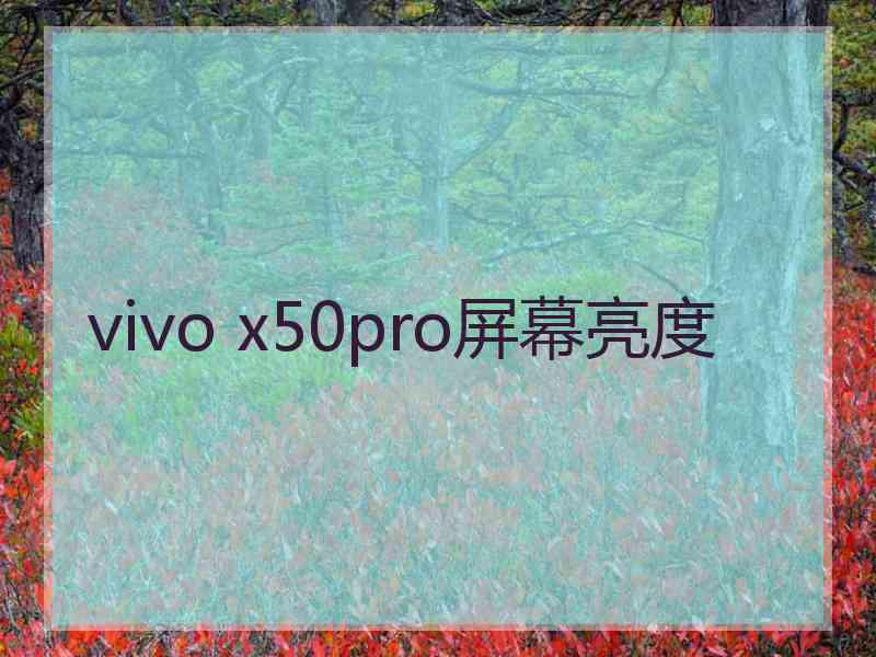 vivo x50pro屏幕亮度