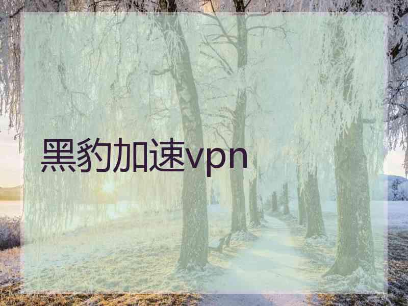 黑豹加速vpn