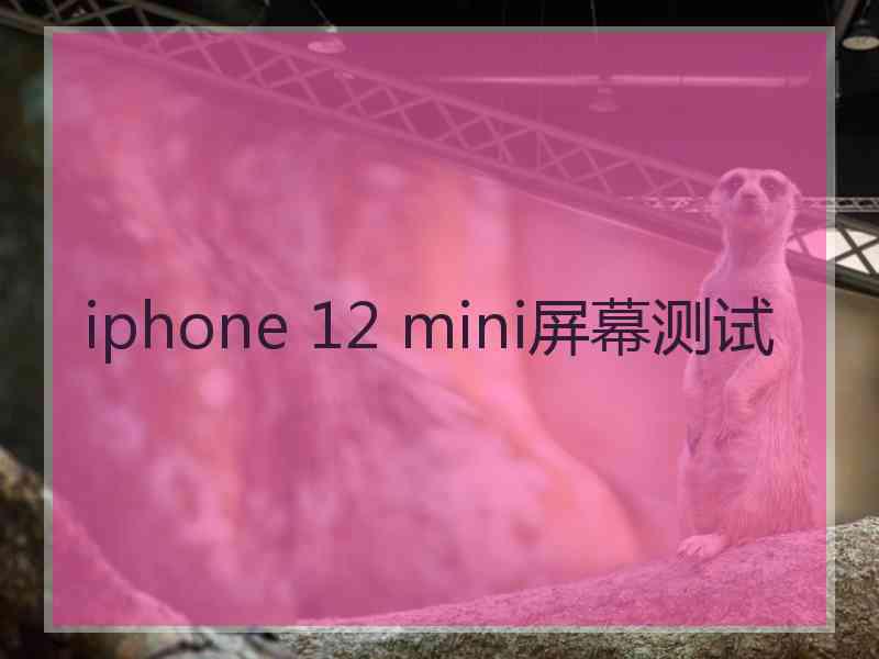 iphone 12 mini屏幕测试