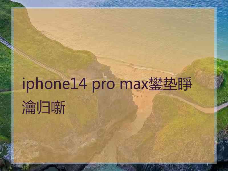 iphone14 pro max鐢垫睜瀹归噺