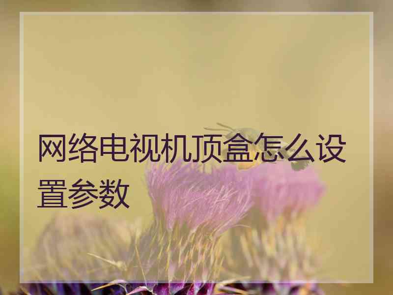 网络电视机顶盒怎么设置参数