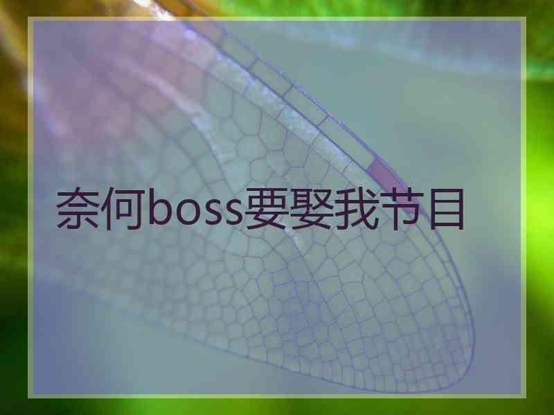 奈何boss要娶我节目