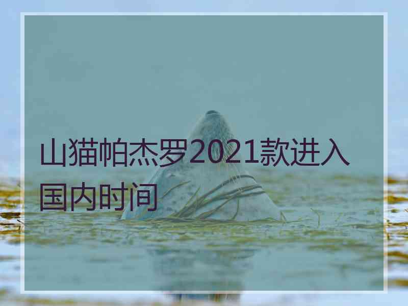 山猫帕杰罗2021款进入国内时间