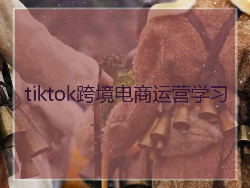 tiktok跨境电商运营学习