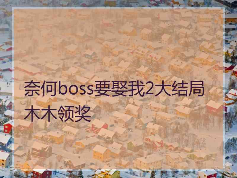 奈何boss要娶我2大结局木木领奖