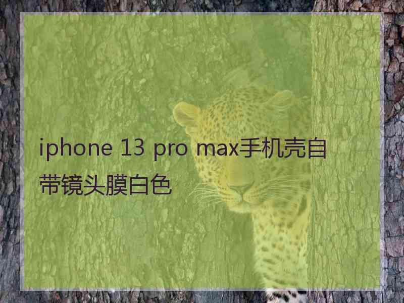 iphone 13 pro max手机壳自带镜头膜白色