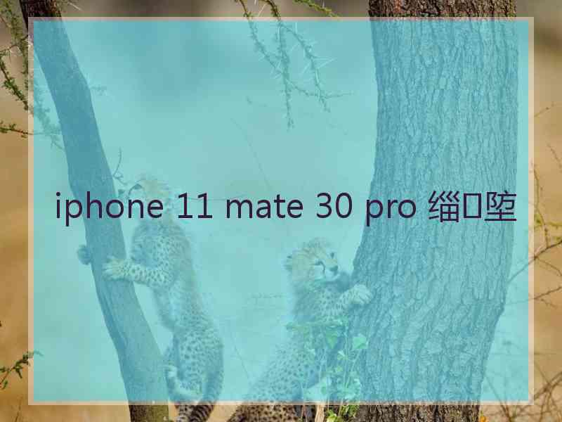 iphone 11 mate 30 pro 缁埅