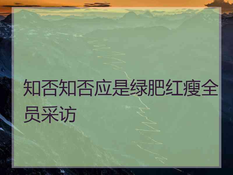 知否知否应是绿肥红瘦全员采访