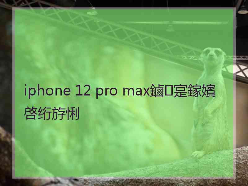 iphone 12 pro max鏀寔鎵嬪啓绗斿悧