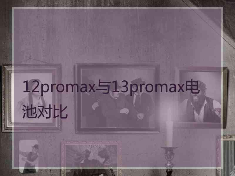 12promax与13promax电池对比