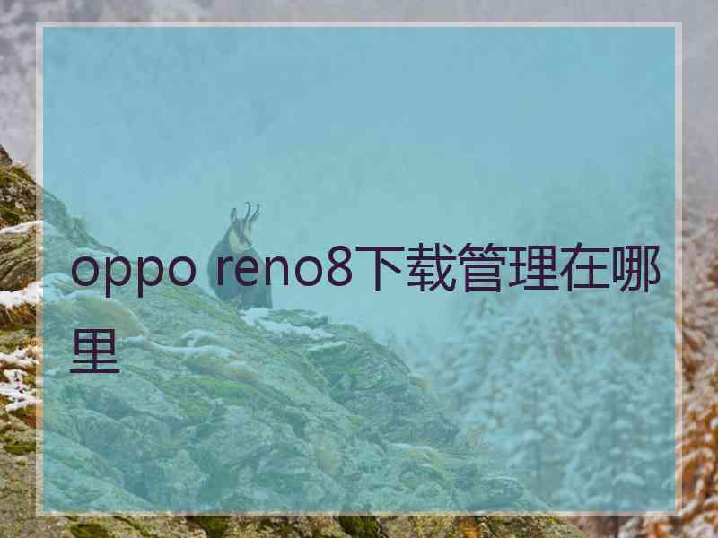 oppo reno8下载管理在哪里