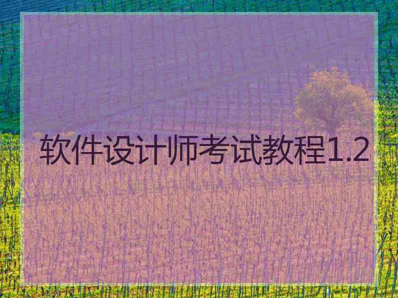 软件设计师考试教程1.2