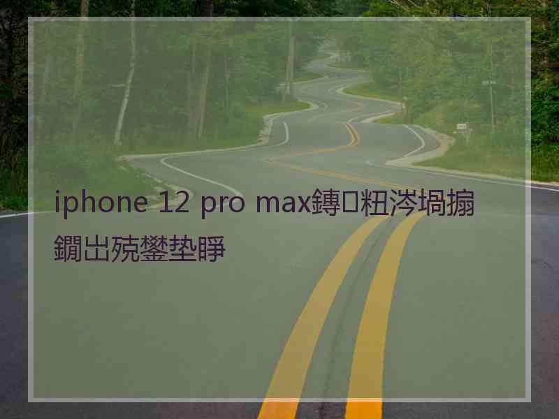 iphone 12 pro max鏄粈涔堝搧鐗岀殑鐢垫睜