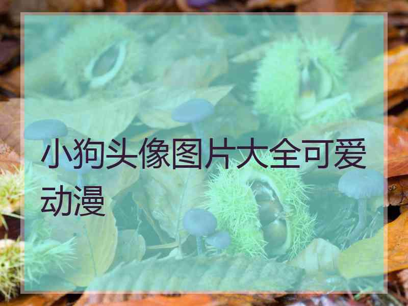 小狗头像图片大全可爱动漫