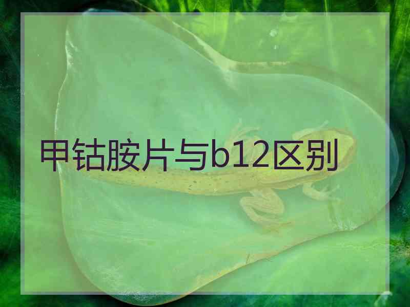 甲钴胺片与b12区别