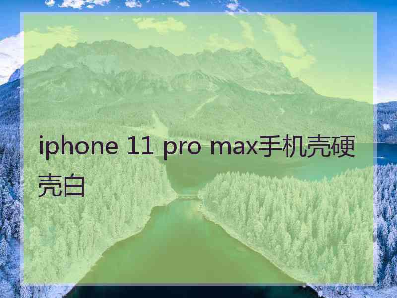 iphone 11 pro max手机壳硬壳白