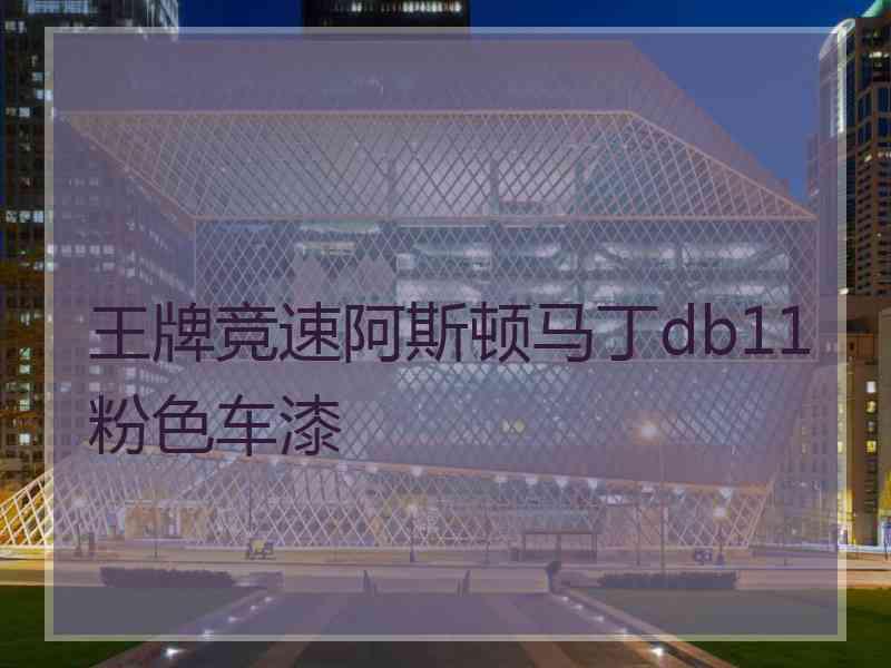 王牌竞速阿斯顿马丁db11粉色车漆